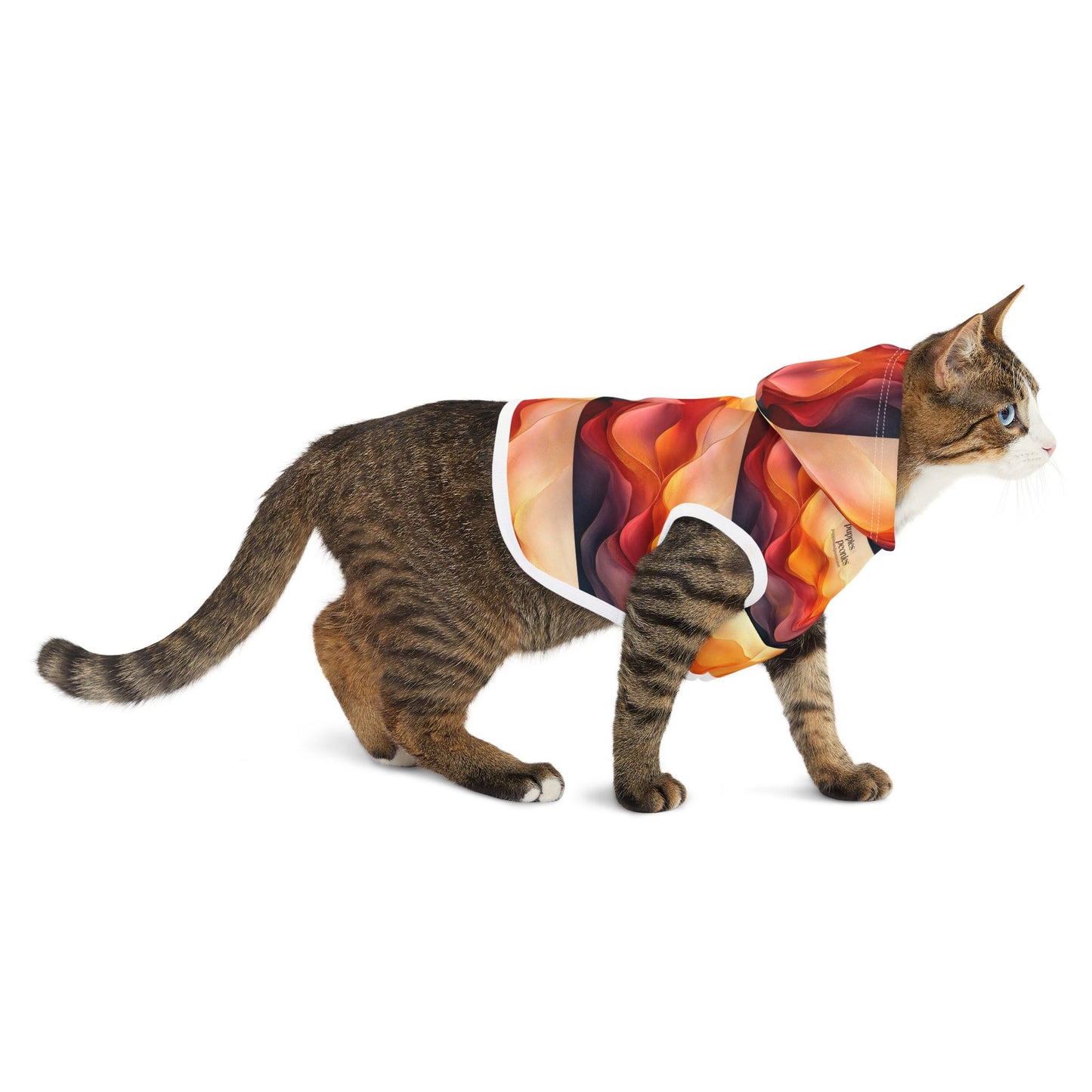 Ombre Dunes Pet Hoodie