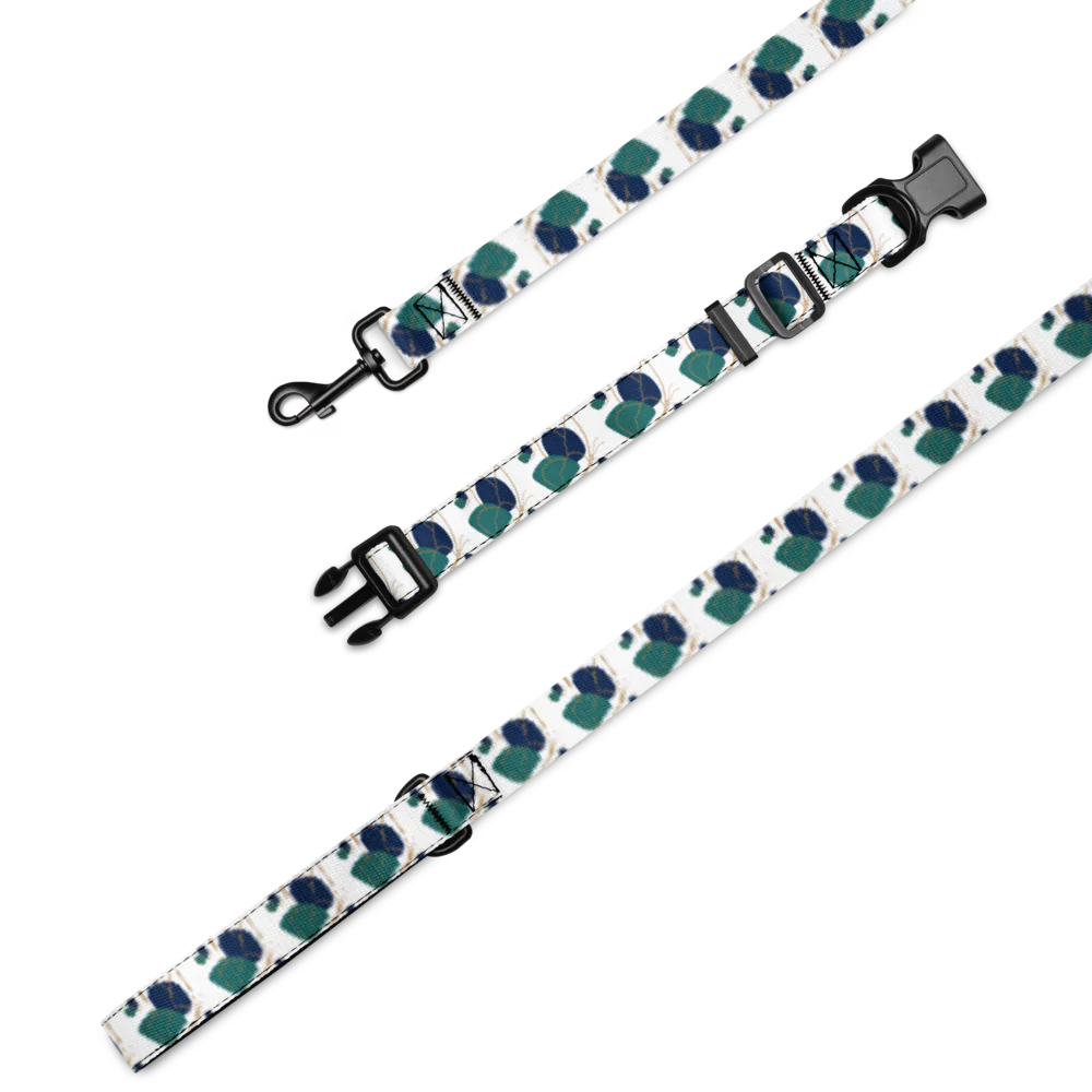 butterfly b/g dog collar and leash set